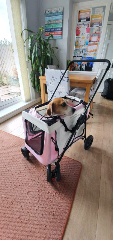 gumtree dog pram